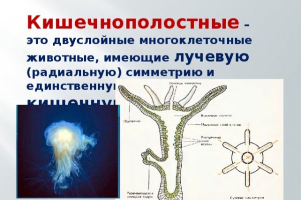 Официальная ссылка на блэкспрут